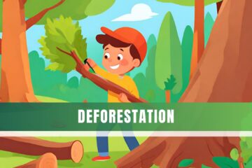 Deforestation, FKENGLISH, Composiiton Deforestation